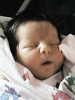 lexie picture - newborn