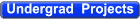 Undergraduate Projects