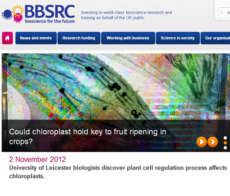 Image related to 2012 BBSRC homepage story, with link