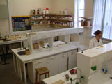 Bench space in the wet lab