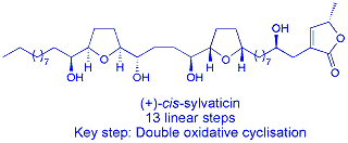 Synthesis of cis-sylvaticin
