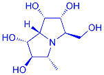 Hyacinthacine C1