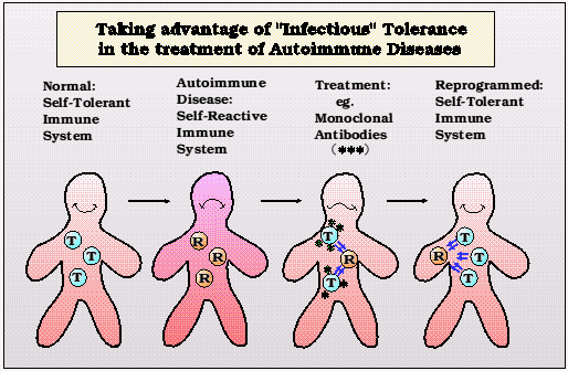 Prednisone: drug of choice for lupus, fibromyalgia, and asthma