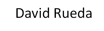 David Rueda logo