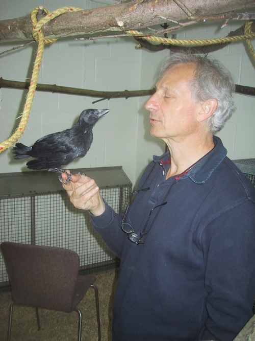 Uék on hand