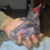U�k in hand