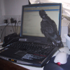 U�k "typing"
