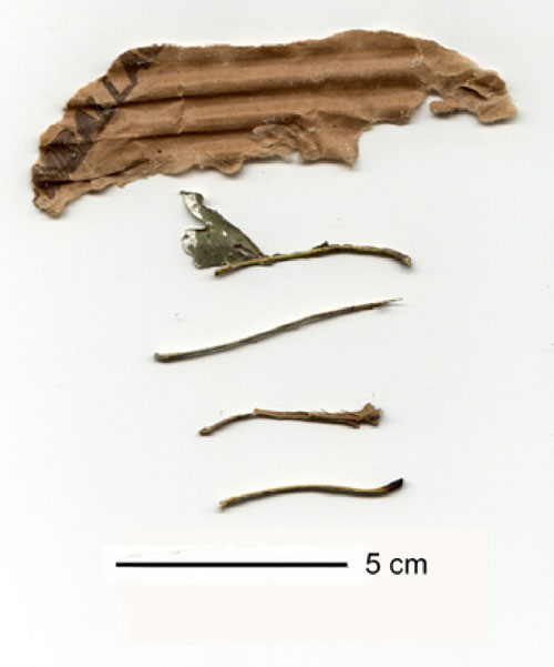 Miscellaneous tools made by Abel and Betty in captivity