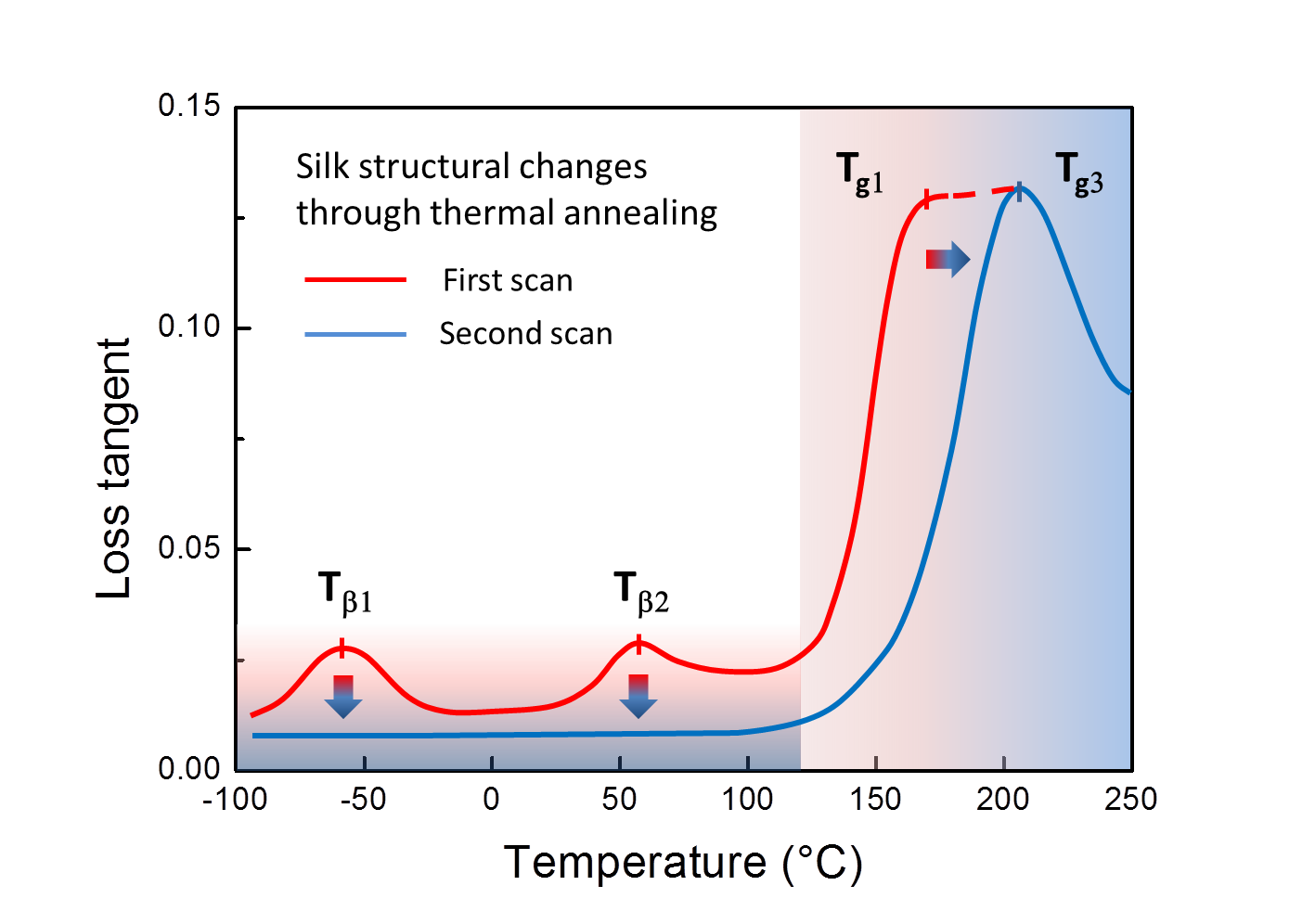 Dynamic Thermal Mechanical Properties of Native Silks