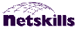 Netskills logo