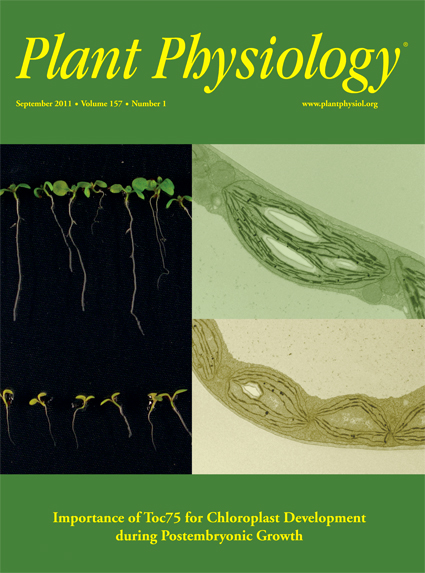 Cover of Plant Physiology, with link to article