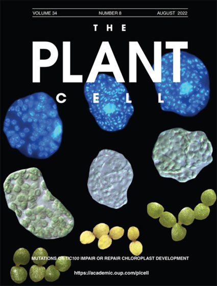 Cover of Plant Cell, with link to article