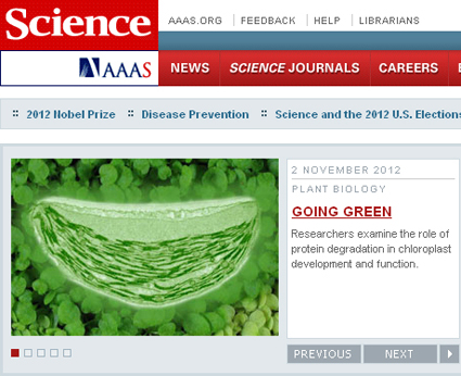 Image of Science Magazine front page, with link to article