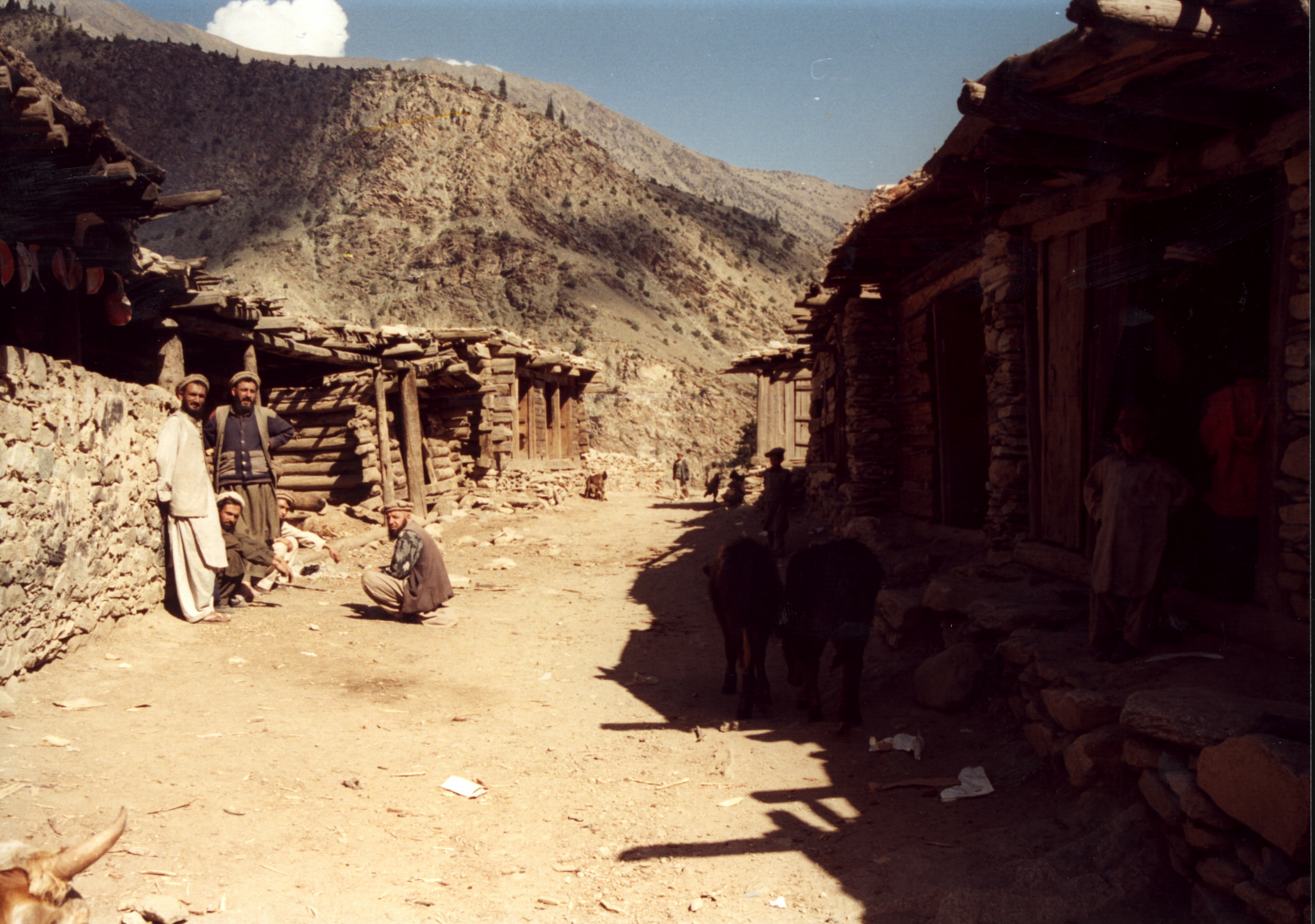 Babusar Village