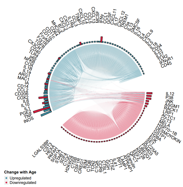 chord_proteins
