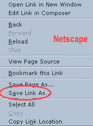 save right click ns