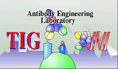 Antibody Engineering Logo