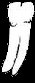 Tooth - click for next page