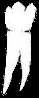 Tooth - click for next page