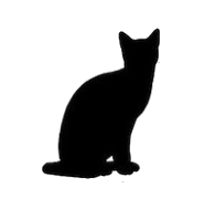 MrCat